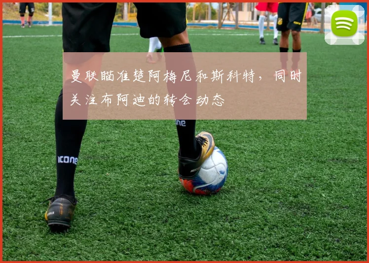 曼联瞄准楚阿梅尼和斯科特，同时关注布阿迪的转会动态