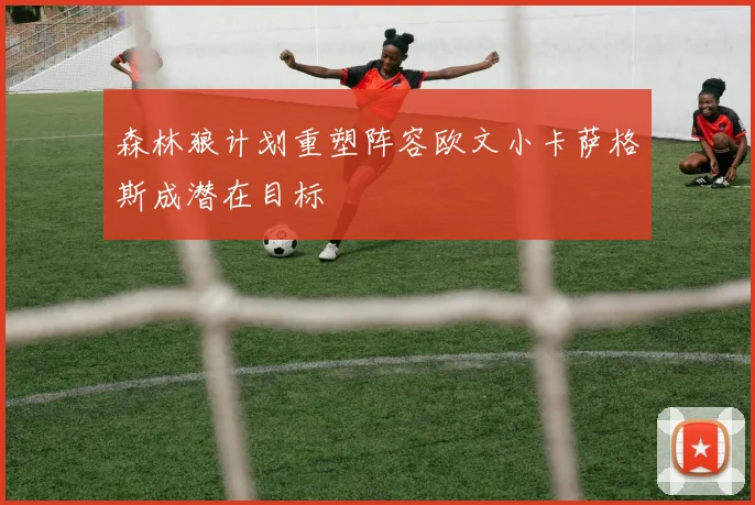 森林狼计划重塑阵容欧文小卡萨格斯成潜在目标